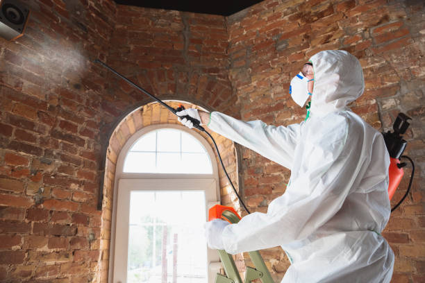 Best Residential Mold Inspection & Testing  in USA